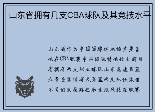 山东省拥有几支CBA球队及其竞技水平